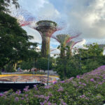 Scenic view of Gardens by the Bay, Singapore