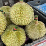 Durian stacked in a crate