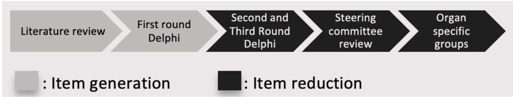 Figure 4: Item Generation & Reduction Phases