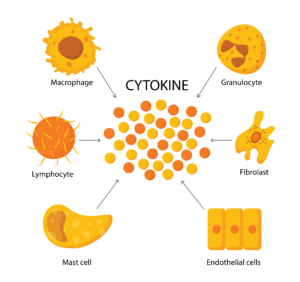 Cytokine by ADOBE STOCK | Aleksey